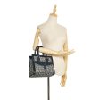 Dior Dior Oblique Handbag (SHG-JxcHhw) Online Hot Sale